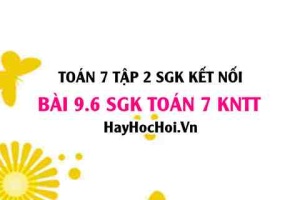 Bài 9.6 SGK Toán 7 Tập 2 Kết nối tri thức